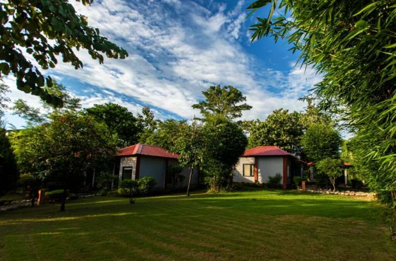 machaan resort woodland cottages
