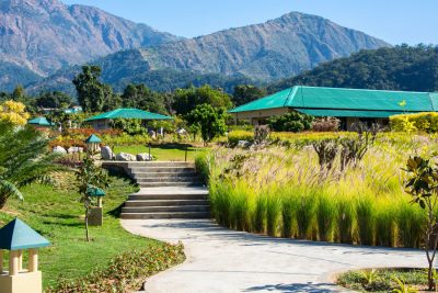 The baagh new year packages