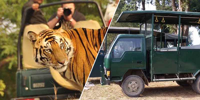 Difference between Jim Corbett Jeep and Canter Safari