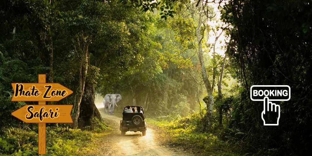 corbett phato safari zone