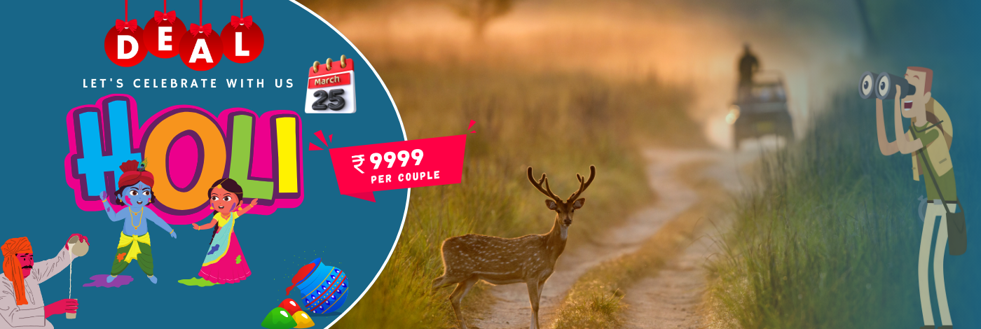 Online book top resorts in Jim Corbett National Park and get special offer on Corbett best resorts
